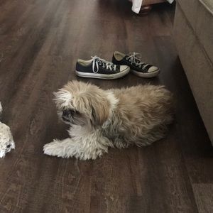 Meet your Posher, Dee